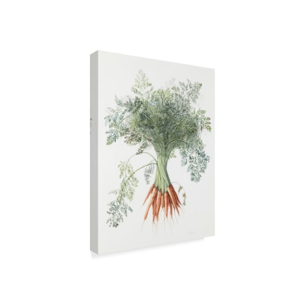 Margaret Ann Eden 'Carrots, 1995' Canvas Art,14x19